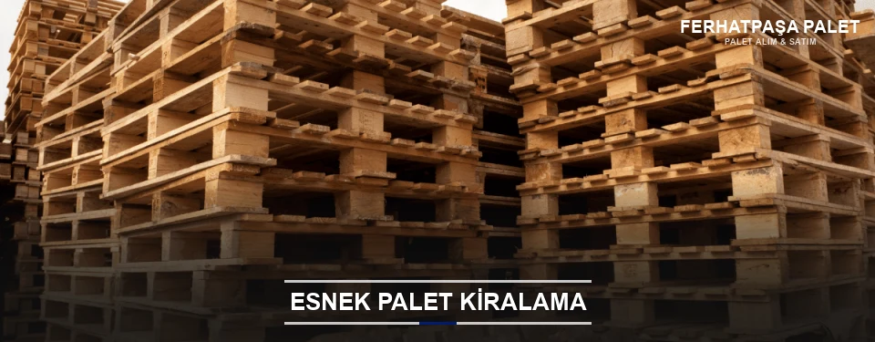 Ferhatpaşa Uygun Fiyatlı Palet Kiralama